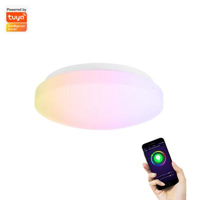 China Modern Led Ceiling Light Smart Living Room Led Ceiling Celling Light Hotel Bedroom Led Ceiling Light Modern Large for sale