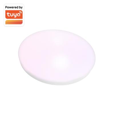 China China modern rgb led ceiling light with remote smart downlight for home decoration with factory price for sale