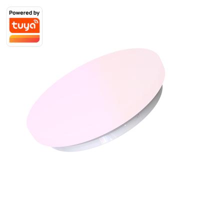 China Modern Hot Selling Indoor Smart Colorful Ceiling Lamp LED Bedroom Light RGB Bederoom Ceiling Light for sale