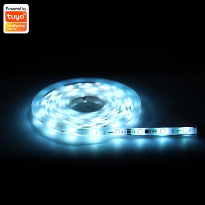 China Residential Dream Color LED Strips 20 Meter Mood Strip Light With App Control RGB Digital Smart Strip for sale