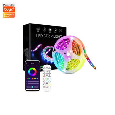 China Smart LANDSCAPE Christmas Decor Tuya Wi-Fi+ IR RGB Music Controller IP65 12V DC 1.5A 18W Connect Led Light Strips for sale