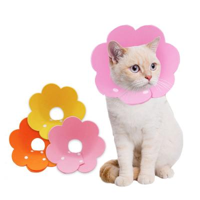 China Personalized Hot Selling Soft E-Collar Cone Flower Dog Elizabeth Protective Collar For Cats for sale