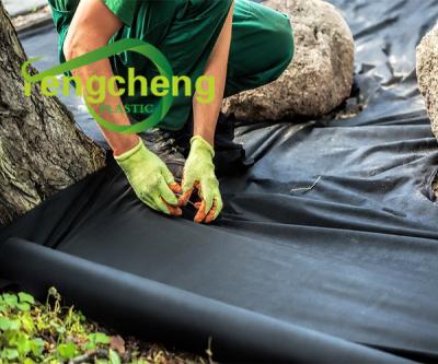 China Waterproof PP Spunbonded Nonwoven Fabric For Agriculture Use Seed Cover Polypropylene Nonwoven Grass Anti Weed Mat for sale