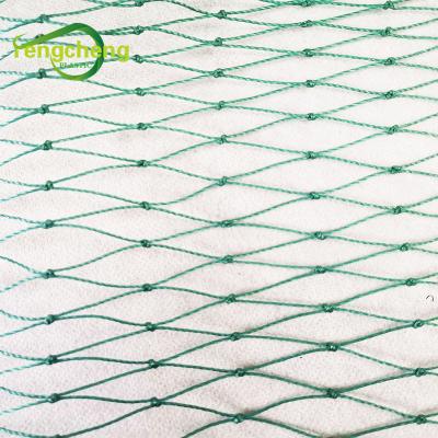 China Agriculture Use PE Chicken Poultry Netting Bird Fence Net With Black Color for sale