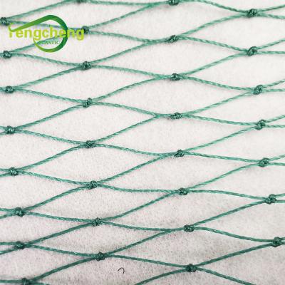 China Agriculture Use Chicken Nets / Cheap Bird Proof Fishing Net Netting for sale