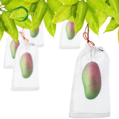 China Hot sale 50 mesh nylon fruit protection insect net bag for vegetable/insect proof mesh UV treated bags for mango for sale