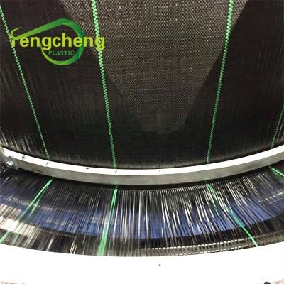 China Eco - Friendly PP Woven Weedmat / Grass Killer Fence for sale