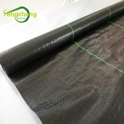 China Eco-friendly PP Weed Grass Control Mat Fabric For Garden for sale