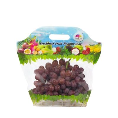 China Food Perforated Fresh Vegetable Fruit Packaging Bags Fruit Duct Bag Fruit Pouch for sale