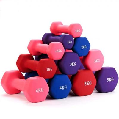 China Gym used Muscle Sports Cheap Dumbbell Set Gym Equipment Gym Dumbbell In Stock Dumbbell 1kg for sale