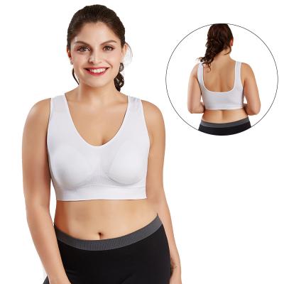 China Antibacterial Full Cup Size Seamless Yoga Full Cup Ring Vest Non-Steel Adjustable Bra for sale