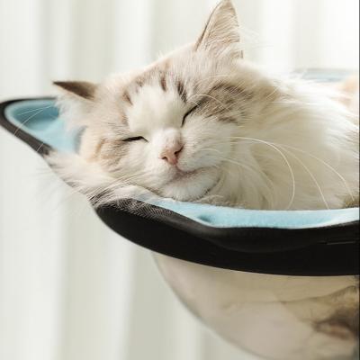 China Breathable Pet Bed Window Mounted Cat Perch Indoor Space Saving Hammock With Sunction Cup Space Capsule Design for sale