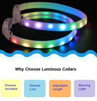 China Best Selling USB Rechargeable Adjustable Stocked LED Light Night Waterproof Safety Adjustable Instant Glowing Dog Collar for sale