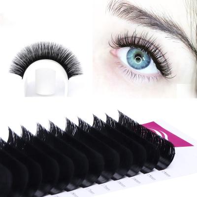 China Long 0.03 0.05 0.07 cc Natural Dual Density Lashes Trays Different Las Extension Supplies 20 25mm Premium Faux Mink Eyelash Extension Lashes Trays for sale