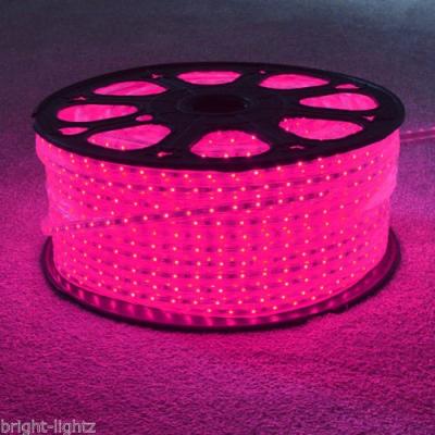 China LANDSCAPE RGB Led Strip 5050 5630 2835 Waterproof 5M 120Led/M Led Strip Light String Stripe Bar 220V for sale