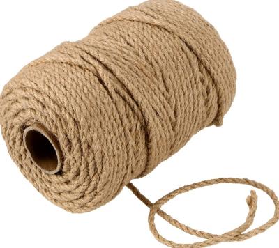 China Natural Anti-Bacteria Jute Twine, 5mm Long Thick Jute 164Feet Twine Rope Roll for Garden, Arts and Crafts, Home Decor, Wrapping for sale