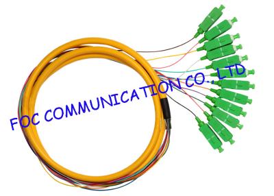 중국 배급은 FTTX를 위한 광섬유 떠꺼머리, APC sc 떠꺼머리 단일 모드 12 핵심을 흩어집니다 판매용