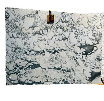 China Freestanding arabescato marble for bathroom wall and stair case with stone luxury natrual arabescato marble slab for sale