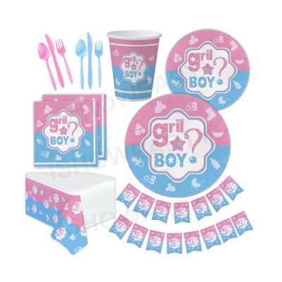 China Stylish Birthday Party Supplies Baby Shower Event Kind Reveal Disposable Party Supplies For Kids for sale