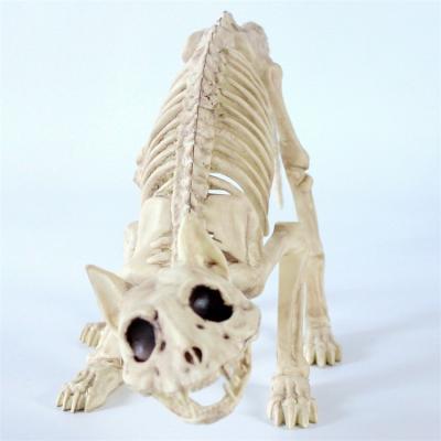 China Best Price Artificial Hot Selling Skeleton Animal Skeleton Halloween High Quality Plastic Skeleton Cat for sale