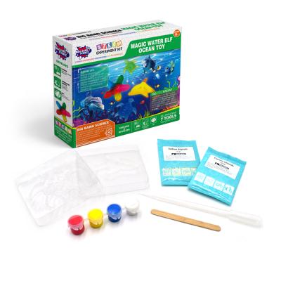 China DIY Toy Set WATER ELF OCEAN OCEAN TOY Fun DIY MAGIC ROD Science Kit For Kids Children 8+ for sale