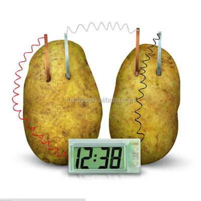 China DIY Environmental Magic Potato Clock Green Science Toys For School Science Lab Equipment for sale