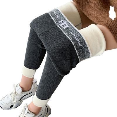 China Antibacterial Winter Plus Thickening Velvet Gaiters Tights Women for sale