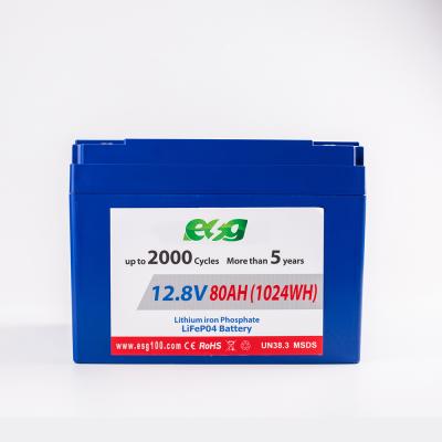 China ESG solar system for solar lamp system 12.8V 100AH ​​high quality deep cycle UPS rechargeable lithium battery for sale