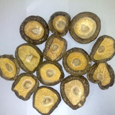 China China Dry Natural Hot Selling Cheap Price 1Kg Dried Shiitake Mushroom for sale