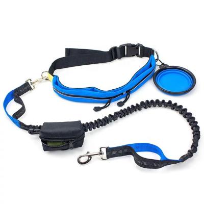 China High Quality Padded Poop Bag Holder Bungee Hands Free Dog Leash With Adjustable Hold Belt Earphone Phone Pouch Bag for sale