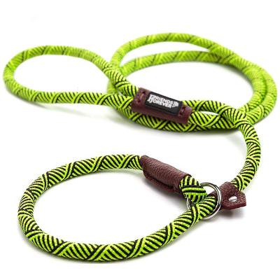 China Thoughtful Custom Logo Rubber Label Climbing Jogging Braided Nylon Rope Dog Slip Lead Leash for sale