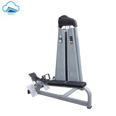 China Professional fitness center gym equipment PS-B25 long pull low row for morden gym equipments for sale