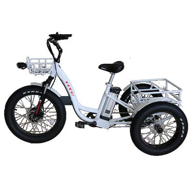 China Aluminum Alloy 48v 13Ah Lithium Battery With Hydraulic Fat Tire Adults Cargo 3 Wheel Front Drive Disc Brake 500w 750w Electric Bike for sale