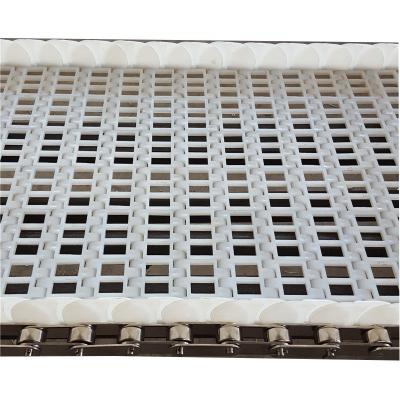 China Other Plastic Chain Plate Conveyor Belt Nylon Plastic Chain Plate With Side Bezel for sale