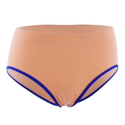 China Custom Anti-Static Instructions Wholesale Women's Seamless Panties for sale