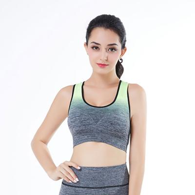 China Antibacterial Customize Seamless Fashion Sport Bra for sale