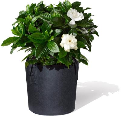 China Plant Growth 6 Pack 3 Gallon 5 Gallon 10 Gallon 7 Gallon Felt Growing Bags Aeration Fabric Pots Felt Flower Pot With Handles for sale