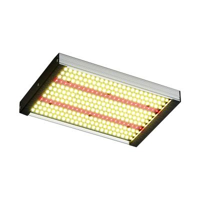 China Seed Starting Hot Type Led Plant Light IP66 100W High Power Plant Grow Lights for sale