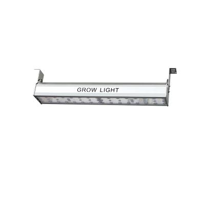 China Seed Starting New Led Appearance For Growing Light Bar 100W EPP 2.4 Indoor Full Spectrum White Light 660nm Plant Grow Light for sale