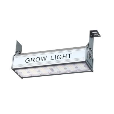 China Seed Starting Indoor Private Model Fill Light Strip 60W Full Spectrum 660nm PPFD140 PPE2.4 Led Grow Light for sale