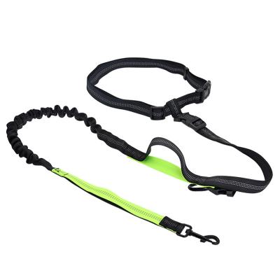 China Multi Functional Running Retractable Professional Rope Collar Harness Personalized Reflective Rope Collar for sale