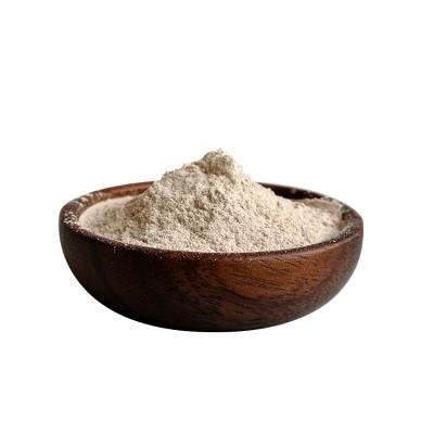 China Male adult natural herbs extract no side effect sex powder for men erection fast and long time sex delay for sale