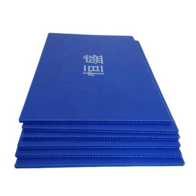 China Waterproof And Durable Danpla Corrugated Plastic Foldable Asparagus PP Custom Packaging Collapsible Corrugated Plastic Sheet for sale