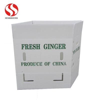 China Eco-friendly half bushel 1/2 bushel coroplast/corflute pp plastic corrugated food canister packaging box for sale