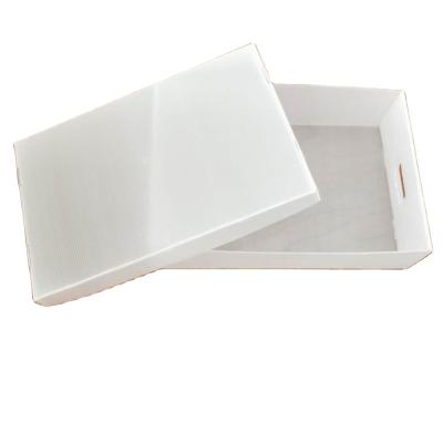 China Biodegradable hollow corrugated board packaging products pp plastic transparent corflute board turnover box for sale