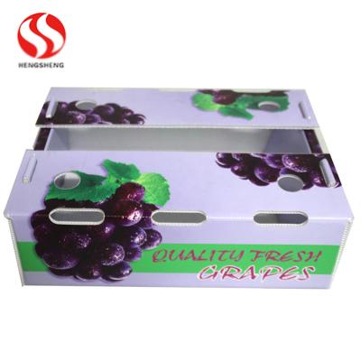 China Custom Made High Quality Virgin PP Fruit Box Recyclable Plastic Foldable Plastic Fruit Packing Box Virgin PP Fruit Box Packaging for sale