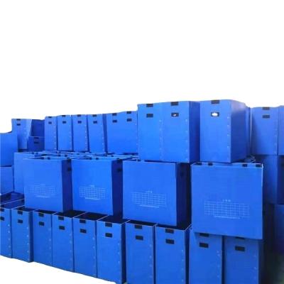 China Wholesale Recyclable Corrugated Plastic Sheet Box White Ginger Box With Printing for sale