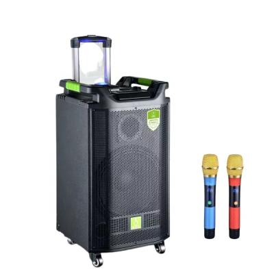 China LED Flashing Light SOK New Model 8 Inch Portable BT Speaker Ne818 Trolley Speaker, Wooden Player for sale