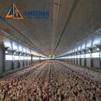 China Hot Sale Steel Low Price Prefab Poultry Farm House Steel Shed For Philippines for sale