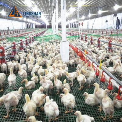 China Office Modern Design Low Cost Poultry Farm Control Shed In Pakistan for sale